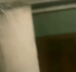 سیگار بزرگ با قیافه