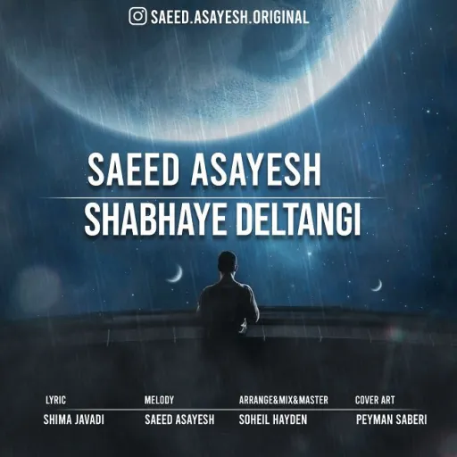 Saeed asayesh-Shabhaye Deltangi