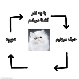 چرخه آشنایی نسخه گربه پرشین