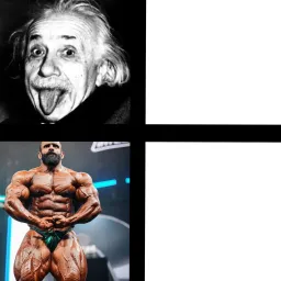 مقایسه هادی چوپان با آلبرت اینشتین