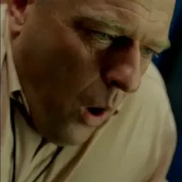 تغییر مود هنک شریدر از اضطراب به آرامش