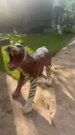 ببر
