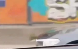 مرد درحال کتک زدن یک نفر در ماشین