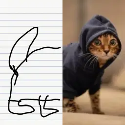 Cat and drawing comparison