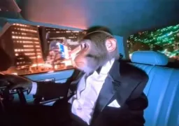 زندگی خوب میمون