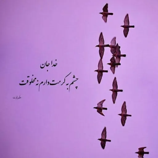 خالی