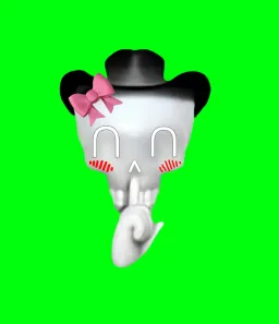 اسکلت کیوت