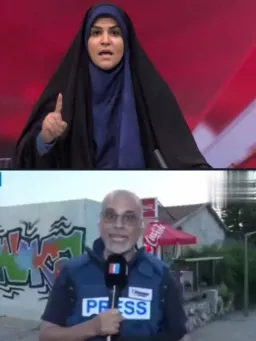 Comparison of an Iranian reporter with a homemaster