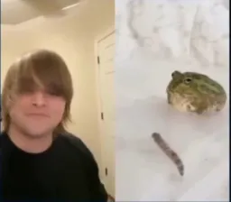 man say hello to a frog