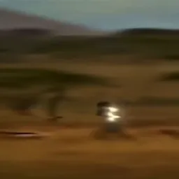 واکنش صادقانه ی فلش سیاه