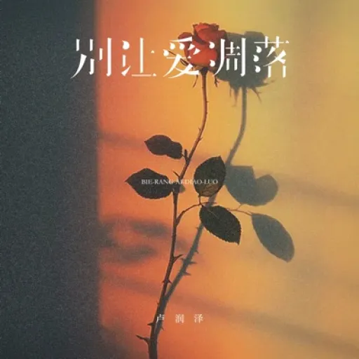 Don't Let Love Wither (Clock Rhythm Version)  Li Run Ze