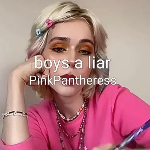 boys a liar - pinkpantheress (REMIX)