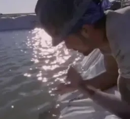 زندگی خوب گاسلینگ