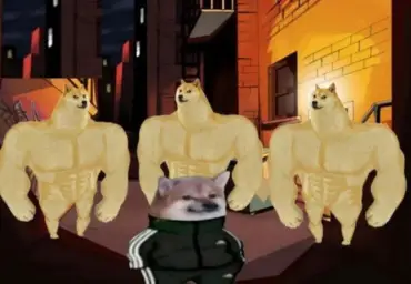 Three strong doge and one smoll boy