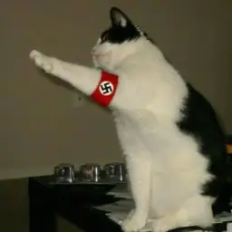 cat nazi