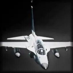 واکنش جنگنده های متفاوت