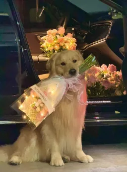 dog with flowers