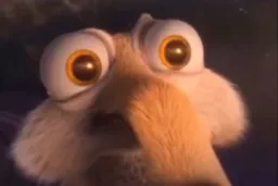 اشک شوق سنجاب