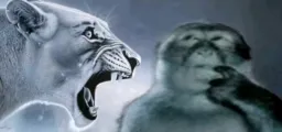 tiger screaming at monkey
