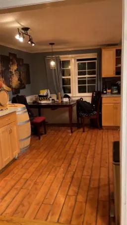 پرنده در حال آکوردئون زدن