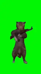 Cat With Gun Green Screen