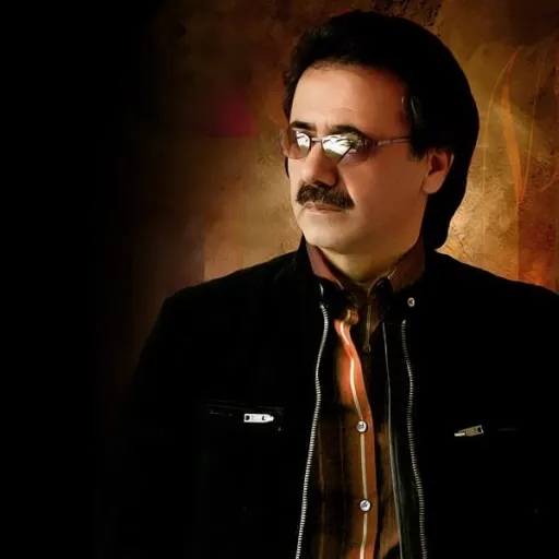 من از راه اومدم - معین