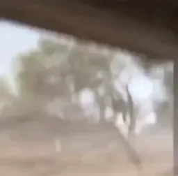 مرد در طوفان