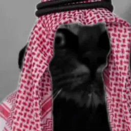 نگاه دارک گربه عرب