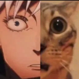 تعجب گوجو و گربه