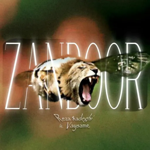 Zanboor (feat. Vaysame)