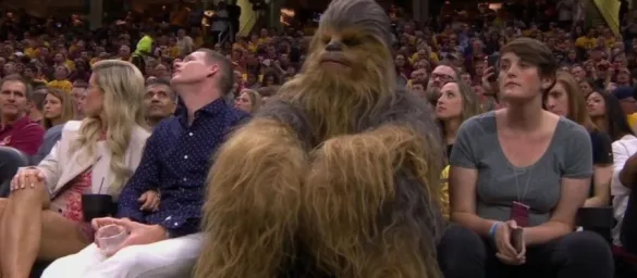 The furry man in the crowd of the stadium