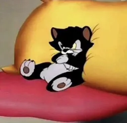 گربه ناراضی