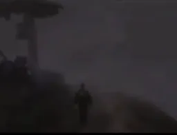 مرد در جنگل مه الود