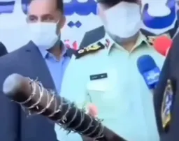 واکنش صادقانه نیگان