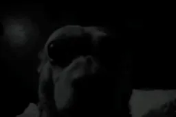 واکنش دارک سگ