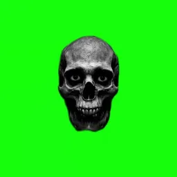 dark skeleton green screen