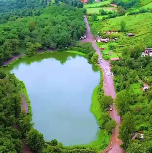 حليمه جان