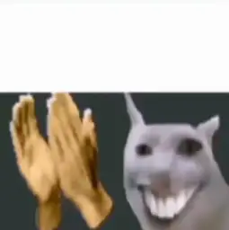 Cat clapping gif