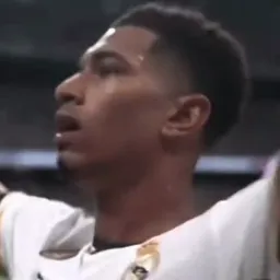 واکنش صادقانه بلینگهام