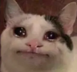 crying cat honest reaction