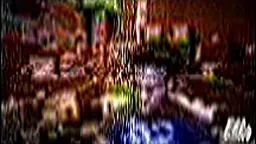 اسپید در حال زدن خودش