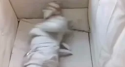 مرد روانی با لباس سفید در تیمارستان