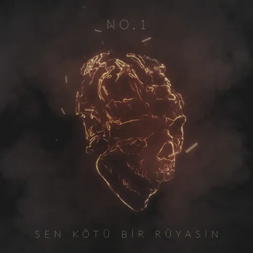 Skbr by no .1
