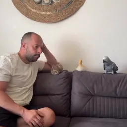 نگاه مشکوک مرد به ۳ پرنده