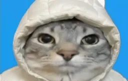 گربه تلگرام