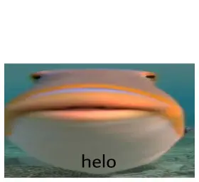 Helo Fish