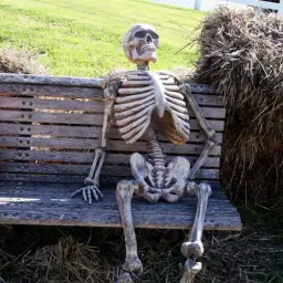 Skeleton Bench Square