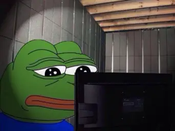 Sad Pepe at a computer