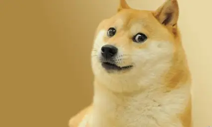 Doge Meme