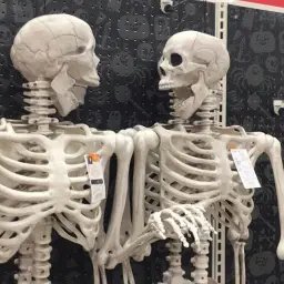 Two Skeletons